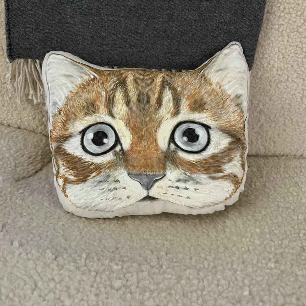 Cat Pillow Plush